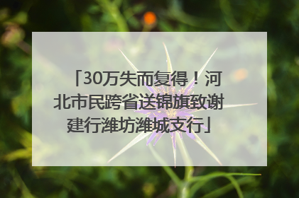 30万失而复得！河北市民跨省送锦旗致谢建行潍坊潍城支行