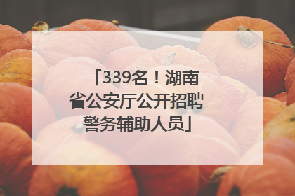 339名！湖南省公安厅公开招聘警务辅助人员