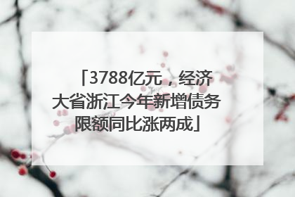 3788亿元，经济大省浙江今年新增债务限额同比涨两成