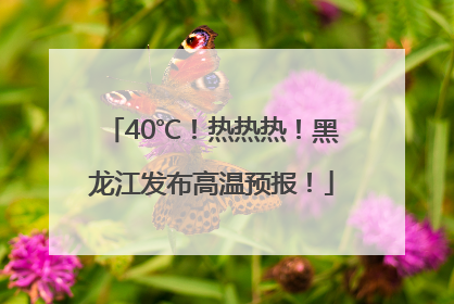 40℃！热热热！黑龙江发布高温预报！
