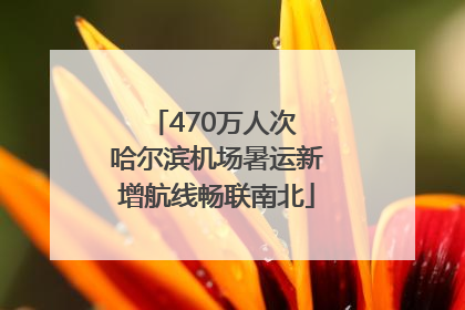 470万人次 哈尔滨机场暑运新增航线畅联南北