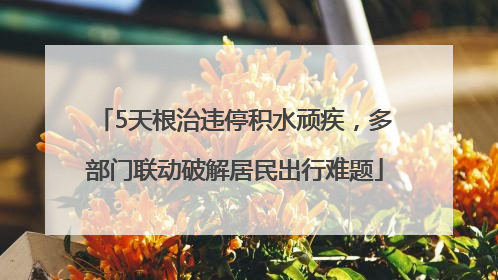 5天根治违停积水顽疾，多部门联动破解居民出行难题