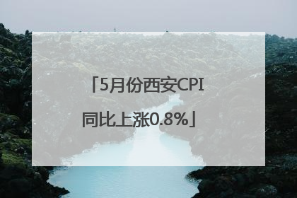 5月份西安CPI同比上涨0.8%