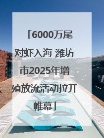 6000万尾对虾入海 潍坊市2025年增殖放流活动拉开帷幕