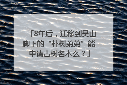 8年后，迁移到吴山脚下的“朴树弟弟”能申请古树名木么？