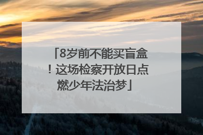 8岁前不能买盲盒！这场检察开放日点燃少年法治梦