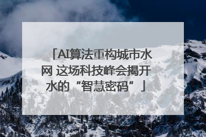 AI算法重构城市水网 这场科技峰会揭开水的“智慧密码”