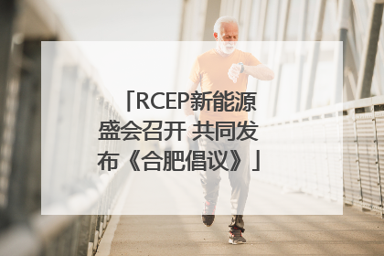 RCEP新能源盛会召开 共同发布《合肥倡议》