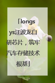 longsys江波龙自研芯片，筑牢汽车存储技术根基